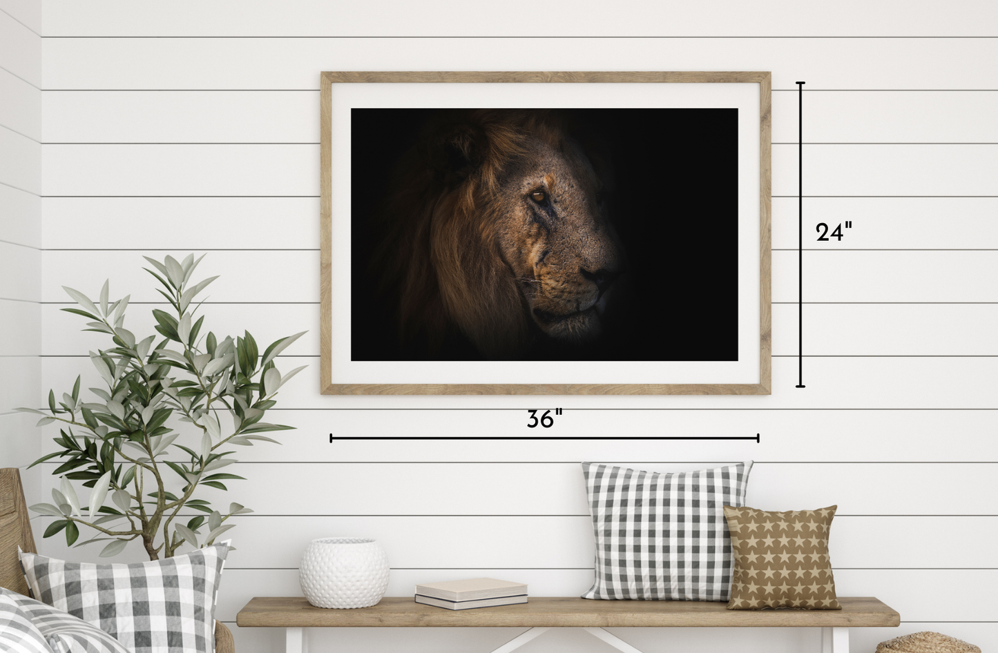Scar