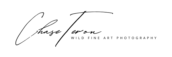 Artica Studios Prints logo